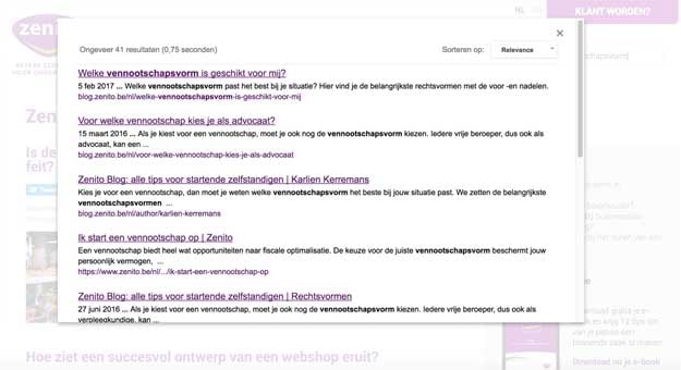 google-site-search-voorbeeld.jpg